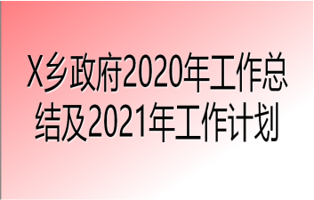 X乡政府2020年工作总结及2021年工作计划